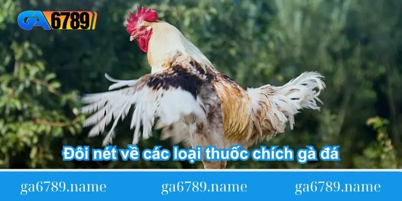 doi-net-ve-cac-loai-thuoc-chich-ga-da